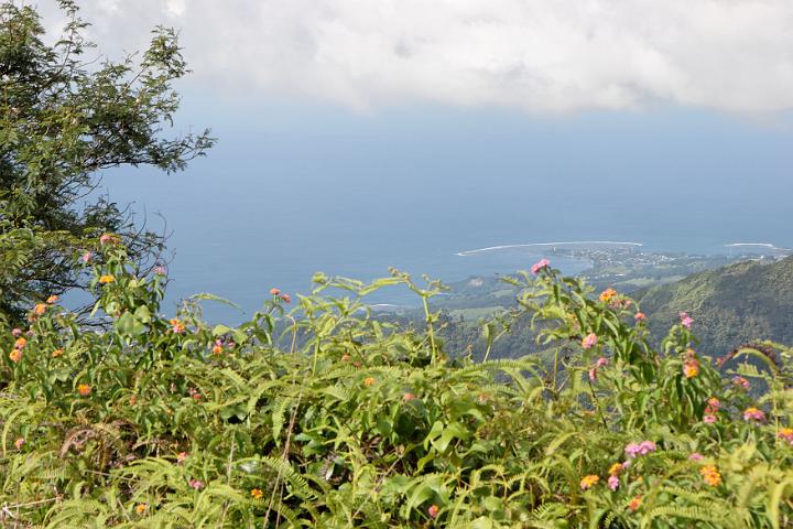Tahiti 34.jpg